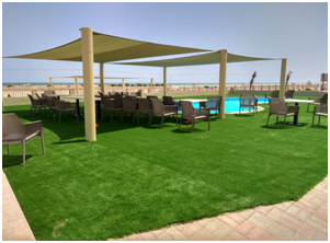 landscaping-1 landscaping-1